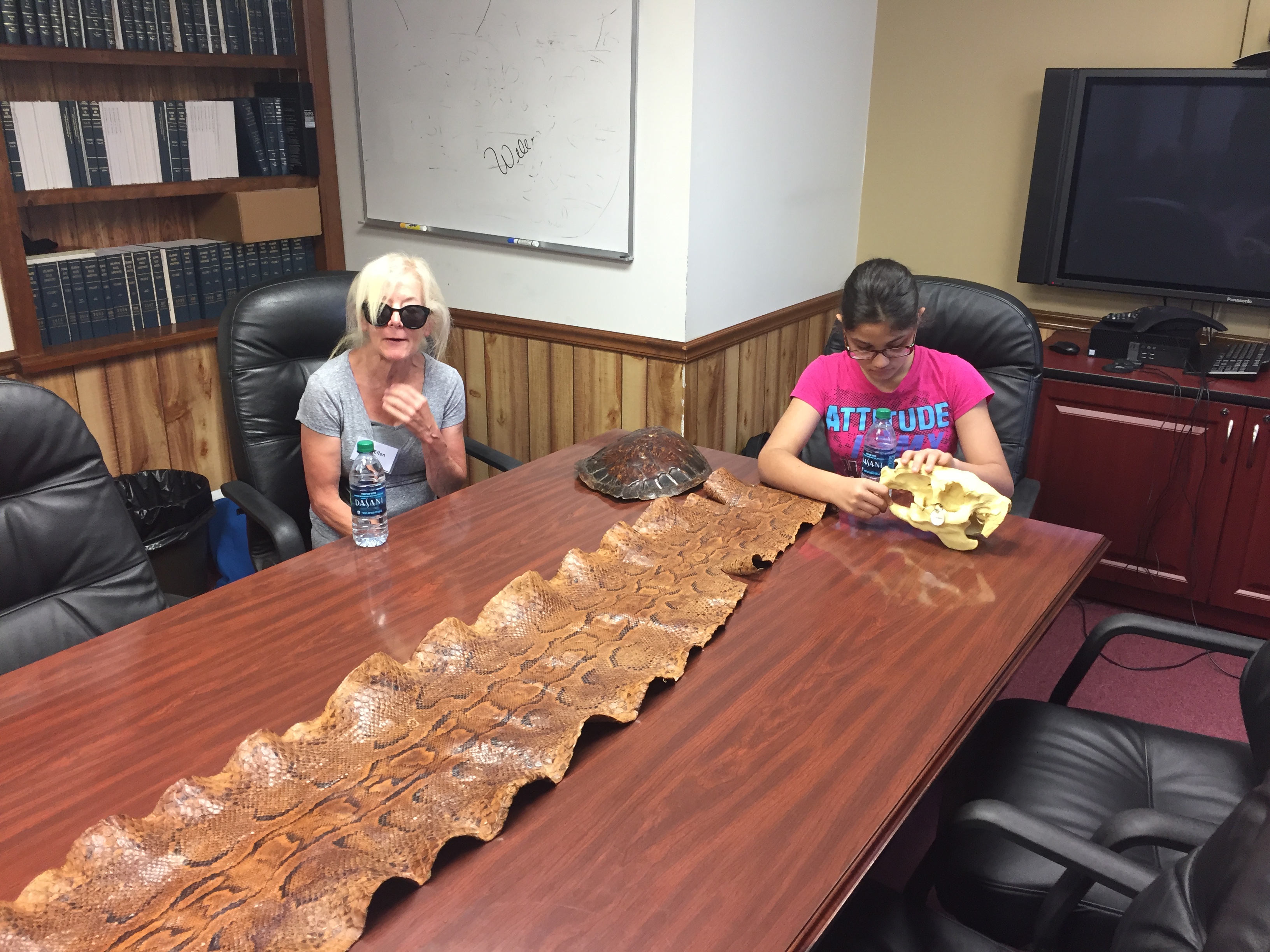 More sharing of animal skins, skulls and skeletons from Brandywine Traveling Zoo.